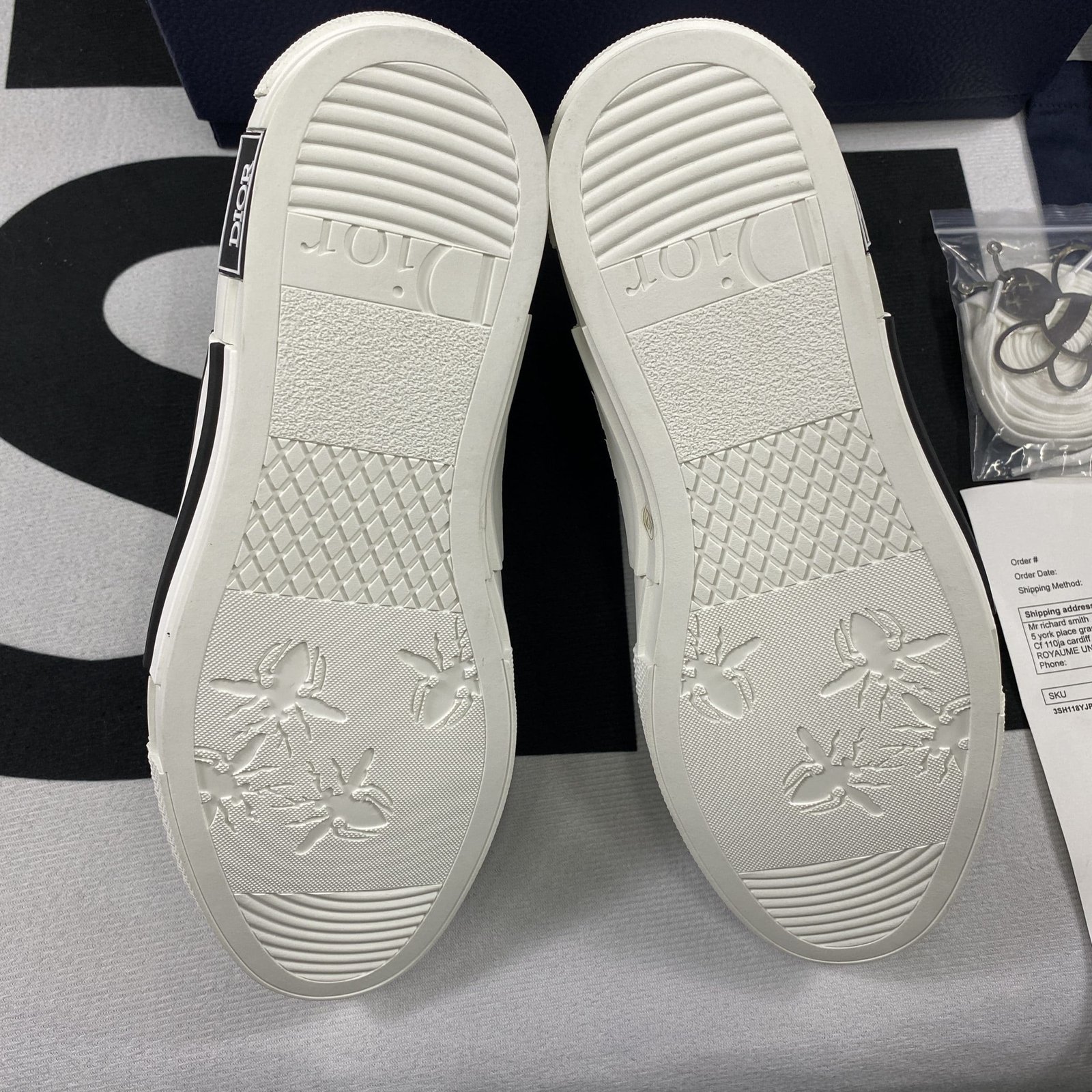 Dior B23 High Top Sneaker 14