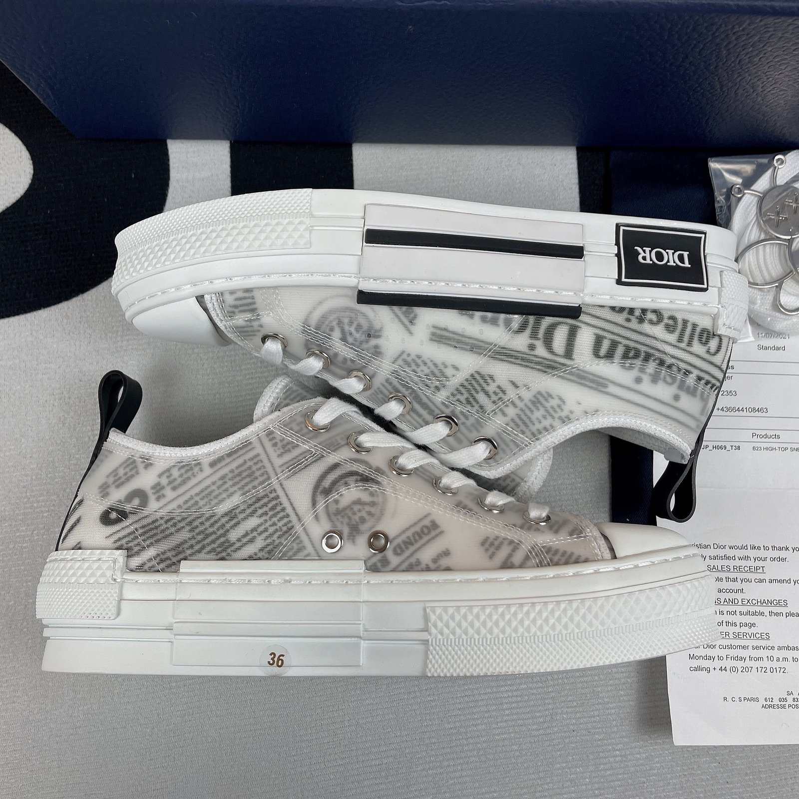 Dior B23 High Top Sneaker 10