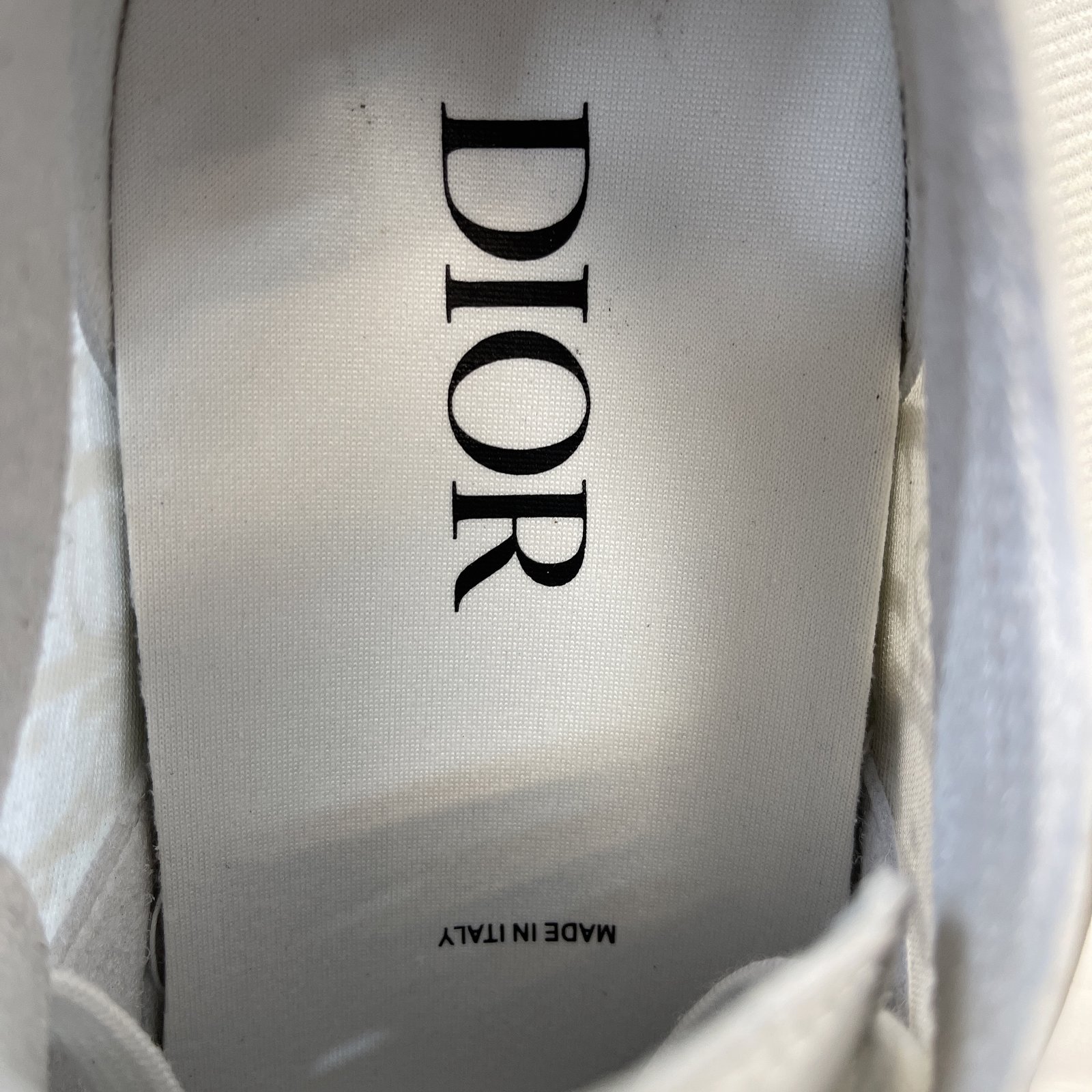 Dior B23 High Top Sneaker 9