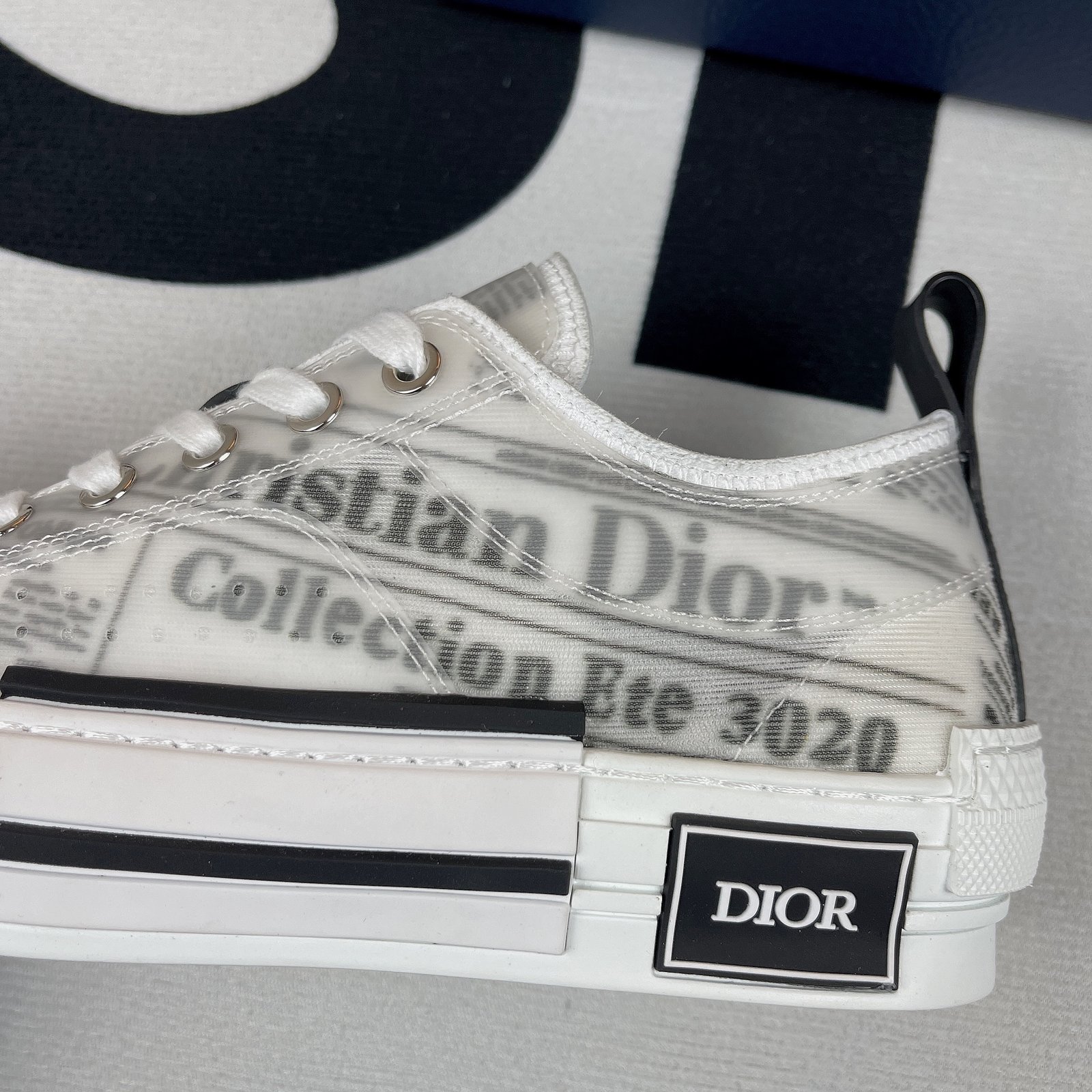Dior B23 High Top Sneaker 10