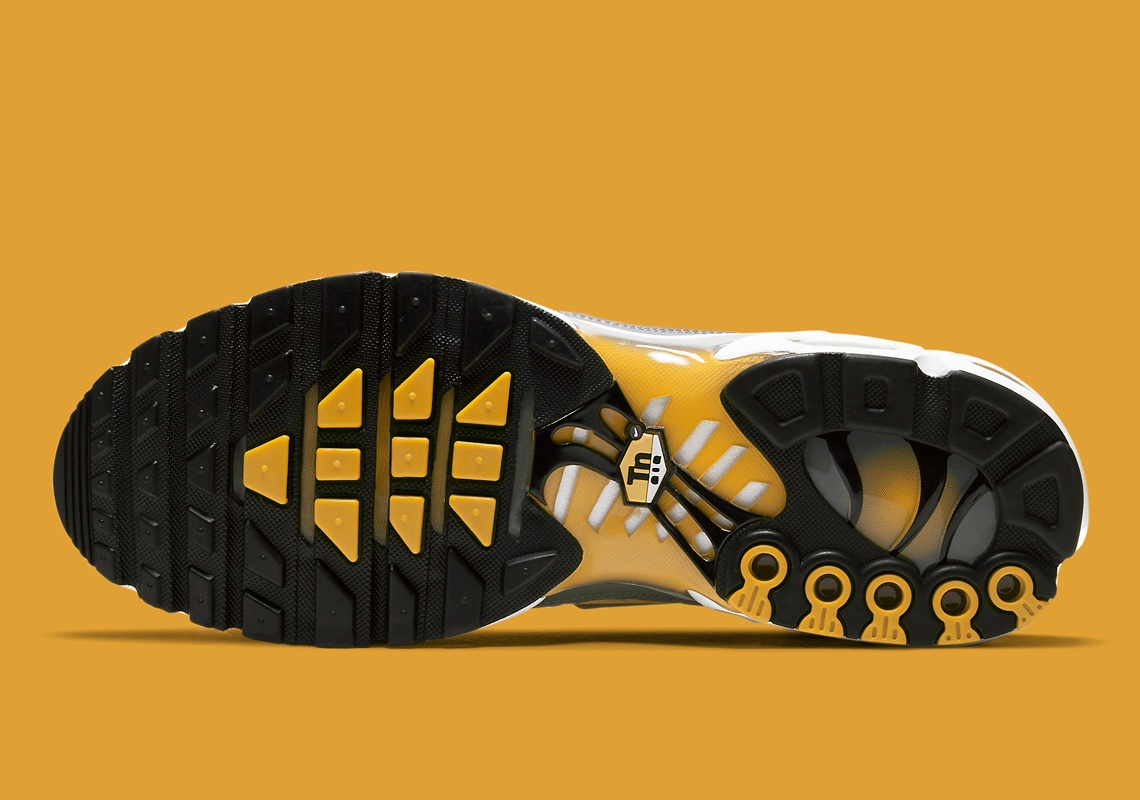 Air Max Plus  Particle Grey Dark Sulphur  DD7111-001