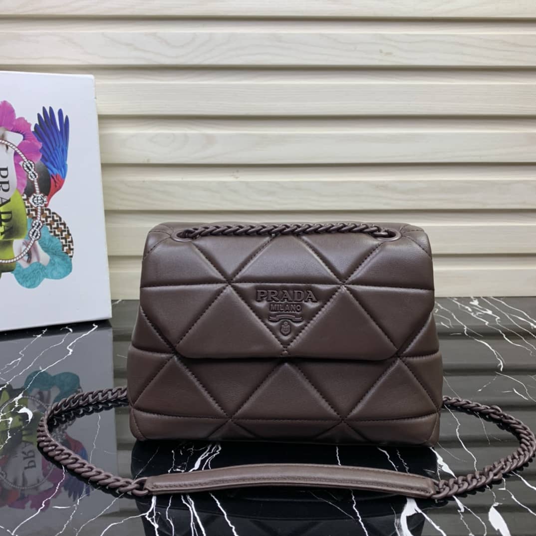 Prada Small Nappa Leather Spectrum Bag