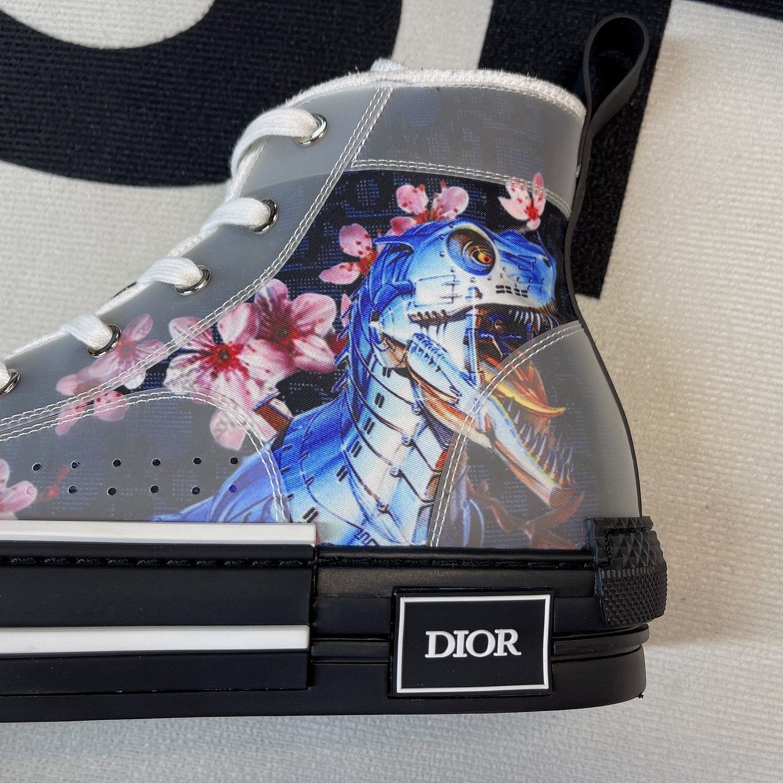 Dior B23 High Top Sneaker 22