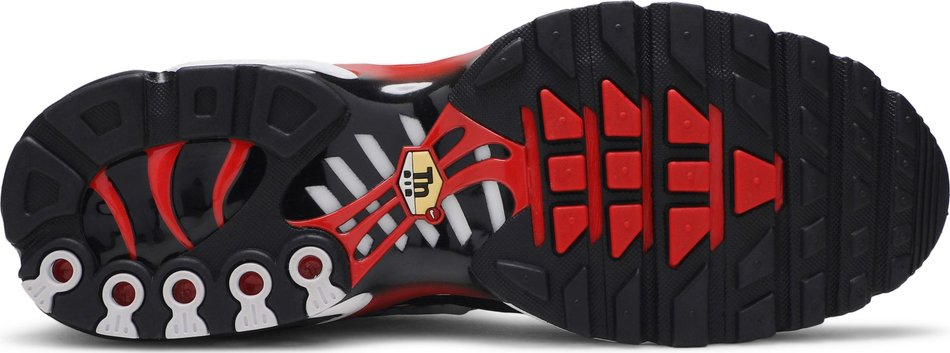 Air Max Plus  Script Swoosh  CK9392-100