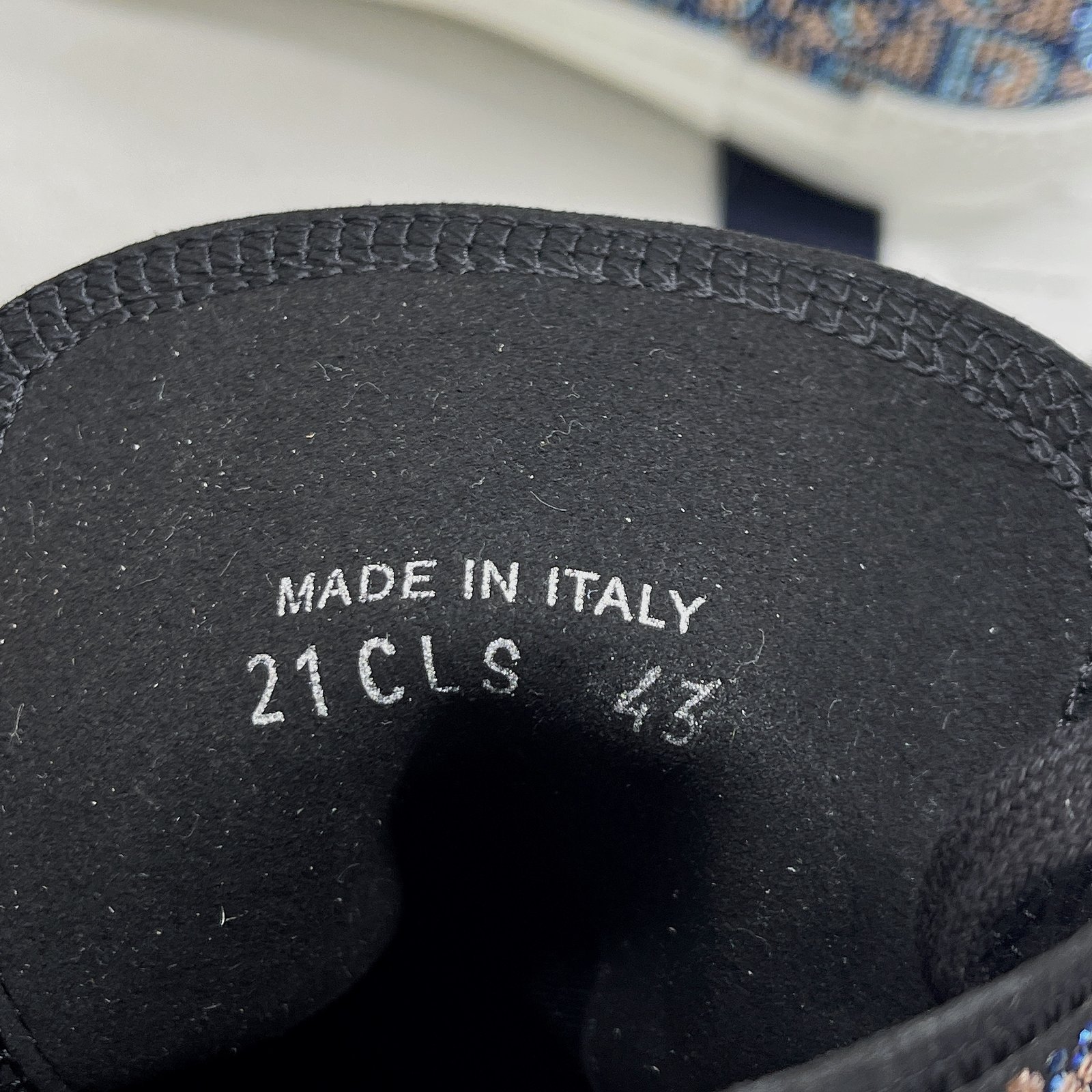 Dior B23 High Top Sneaker 18