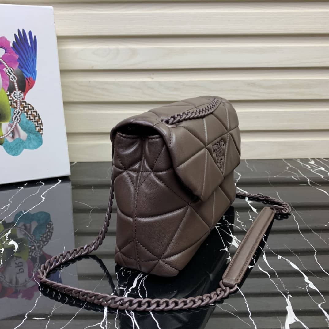 Prada Small Nappa Leather Spectrum Bag