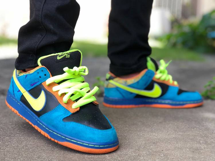 Dunk Low Pro SB  Skate Or Die  304292-073