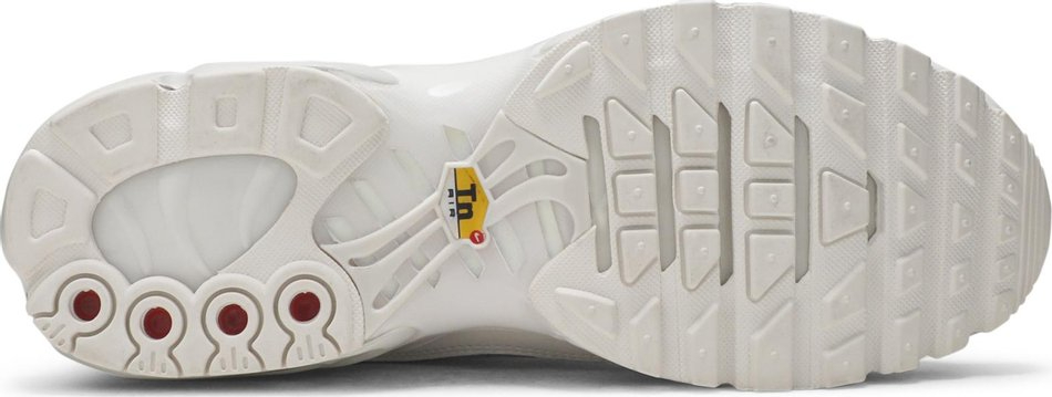 Air Max Plus AR0970-002