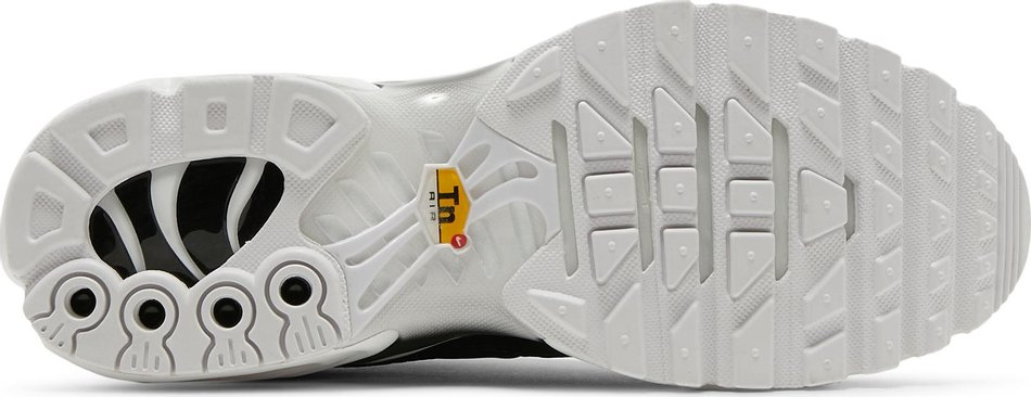 Air Max Plus  Black White  DM2362-001