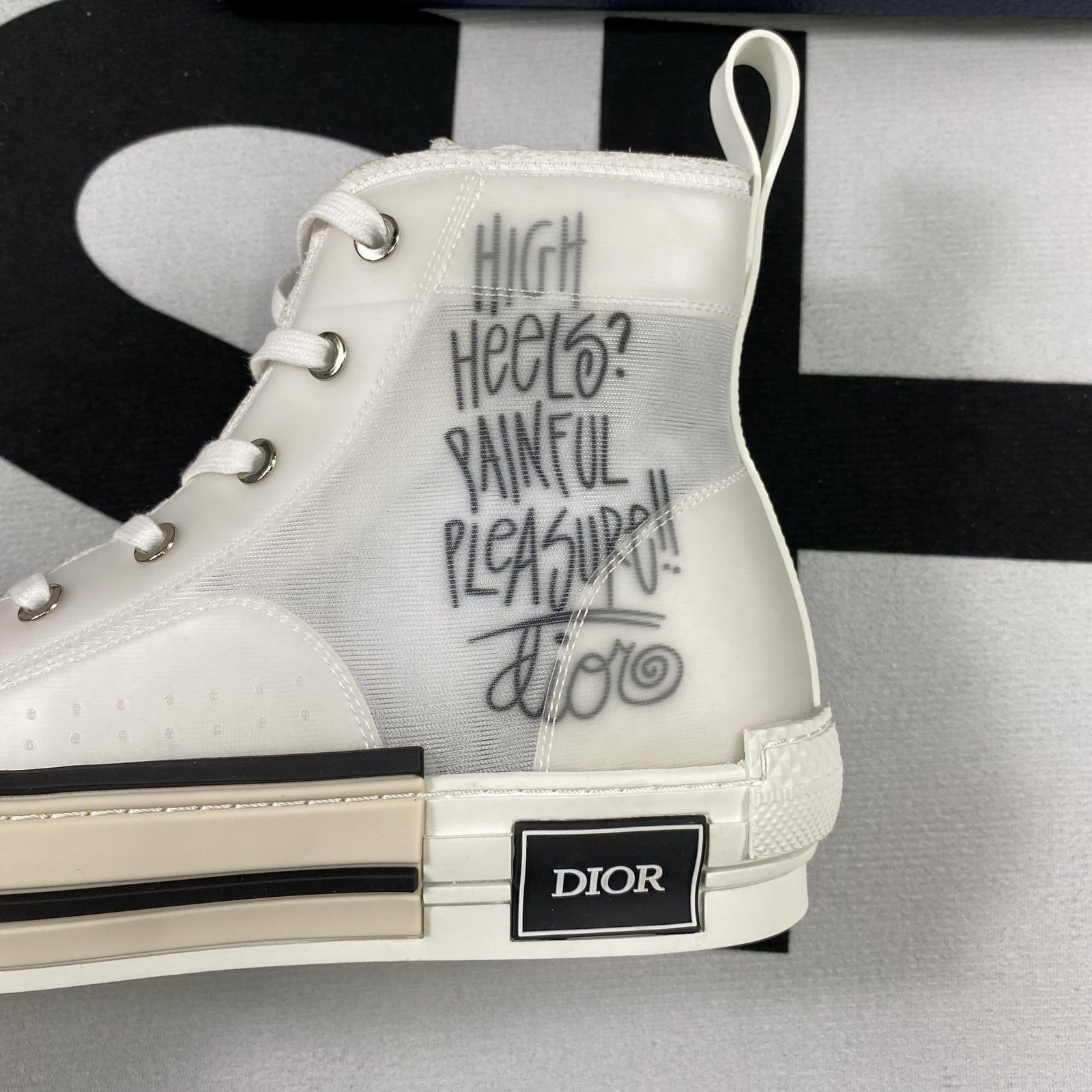 Dior B23 High Top Sneaker 17
