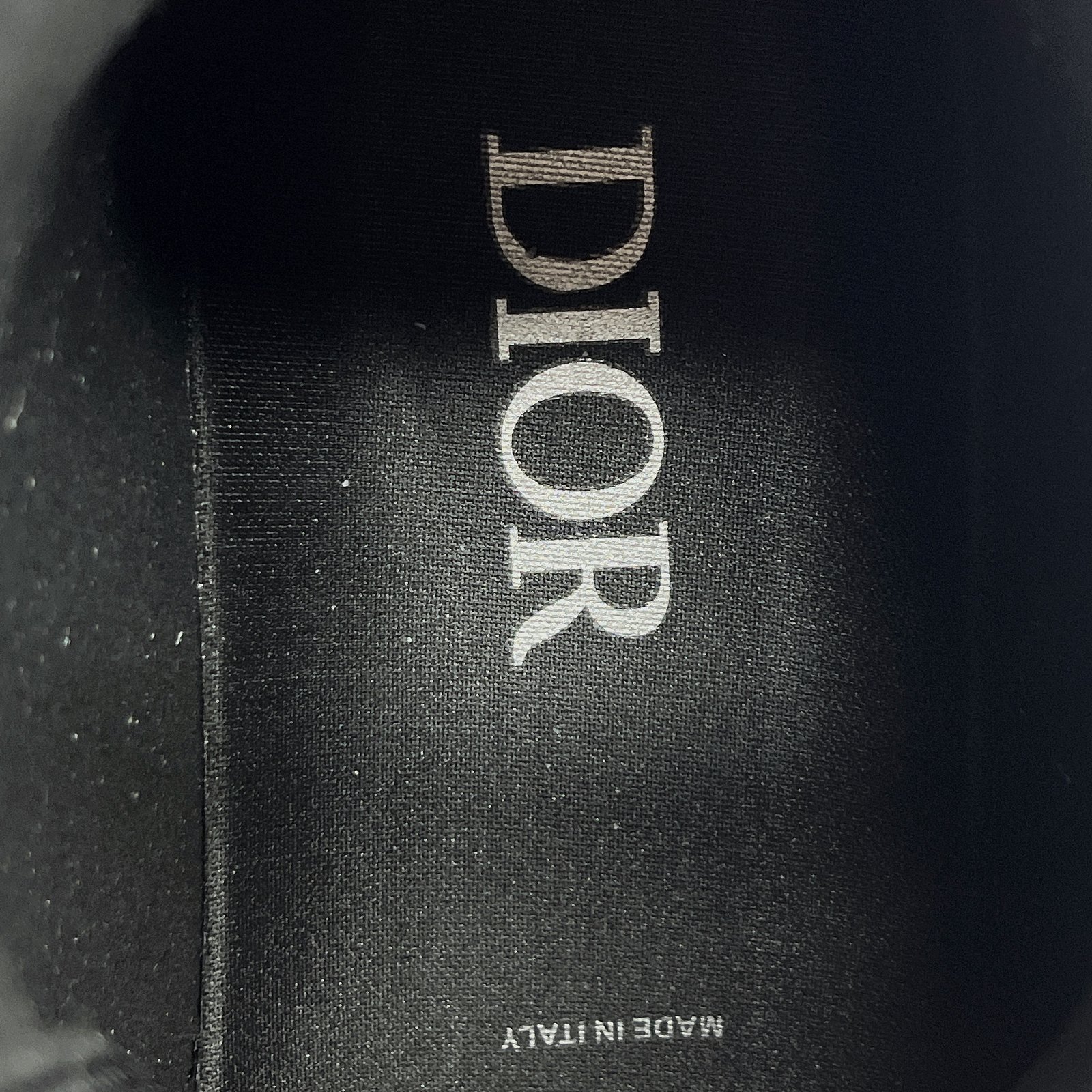 Dior B23 High Top Sneaker 18