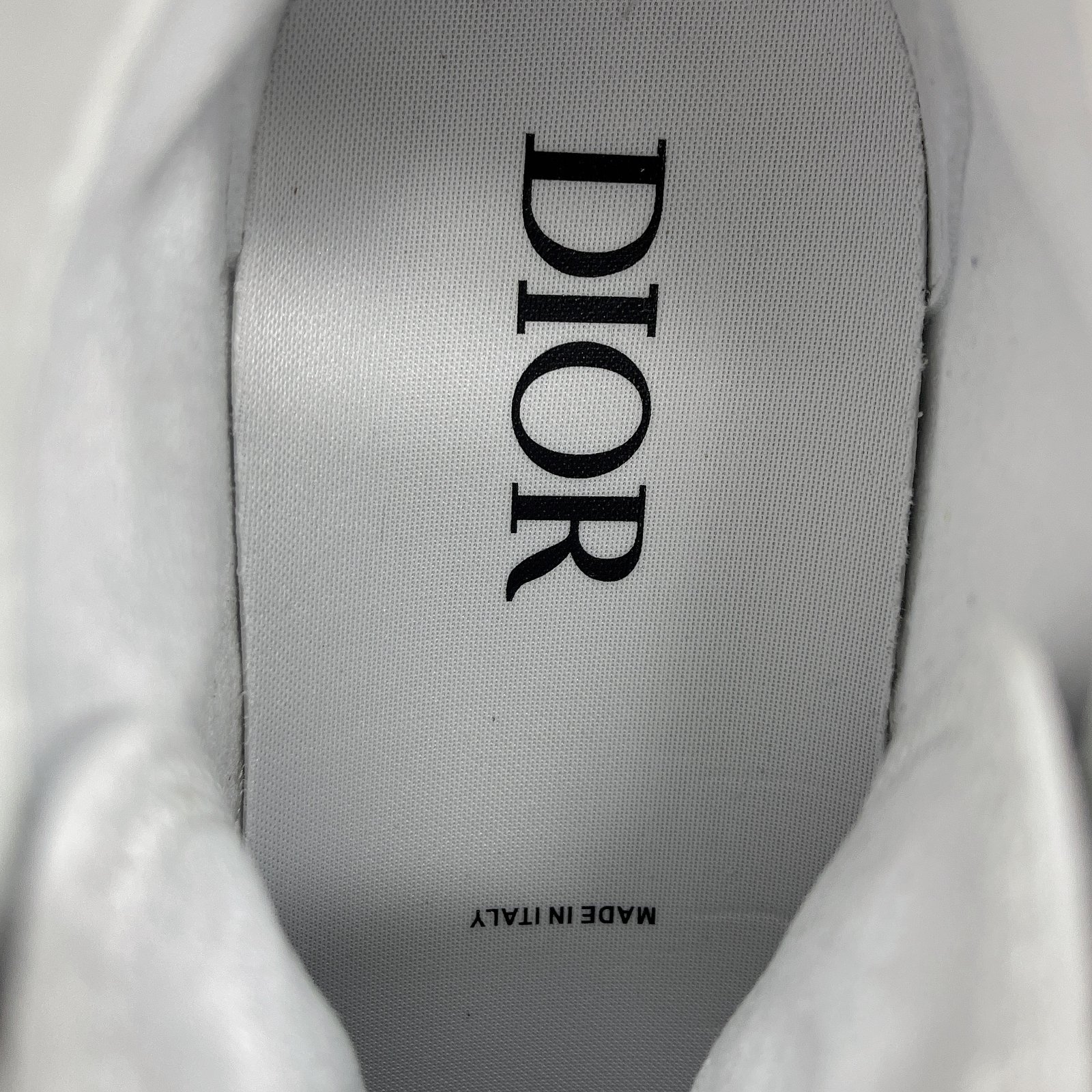 Dior B23 High Top Sneaker 12