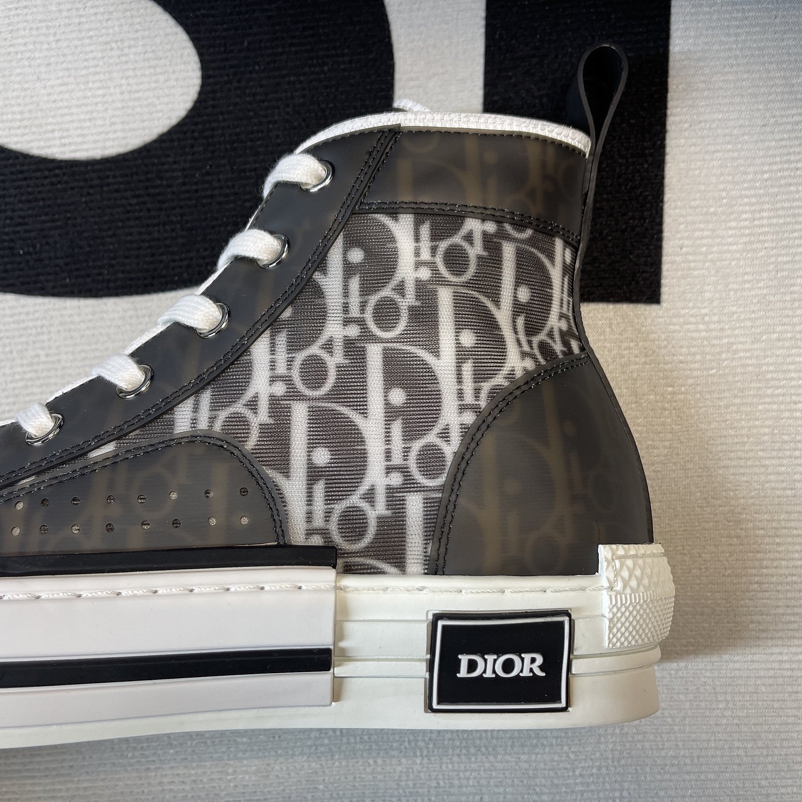 Dior B23 High Top Sneaker 19