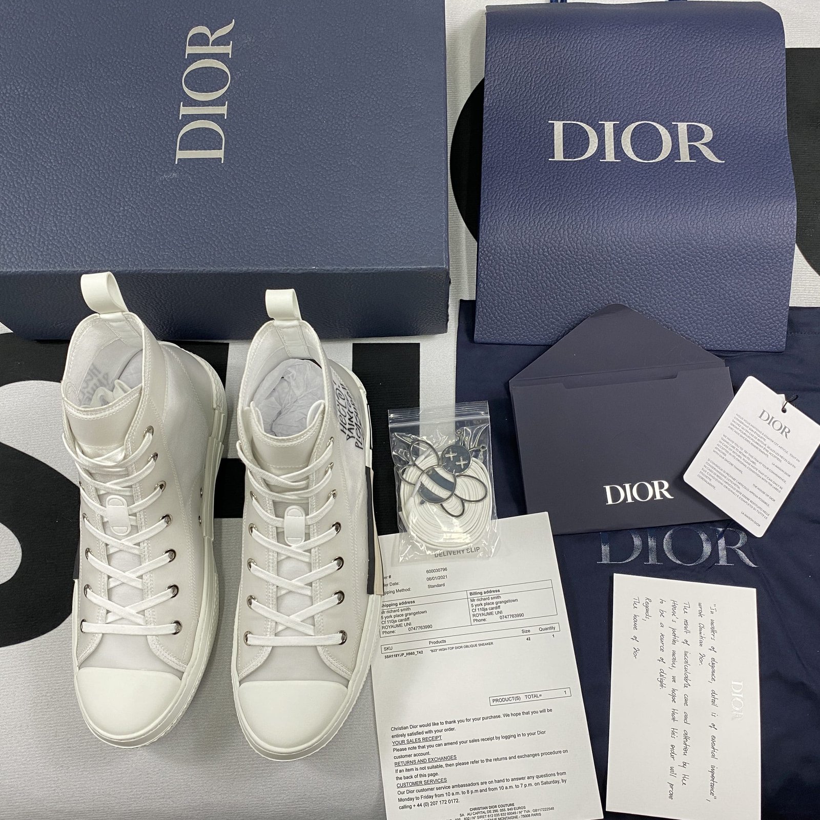 Dior B23 High Top Sneaker 17