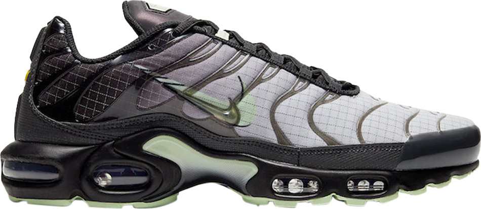 Air Max Plus  Future Swoosh  CT1619-001