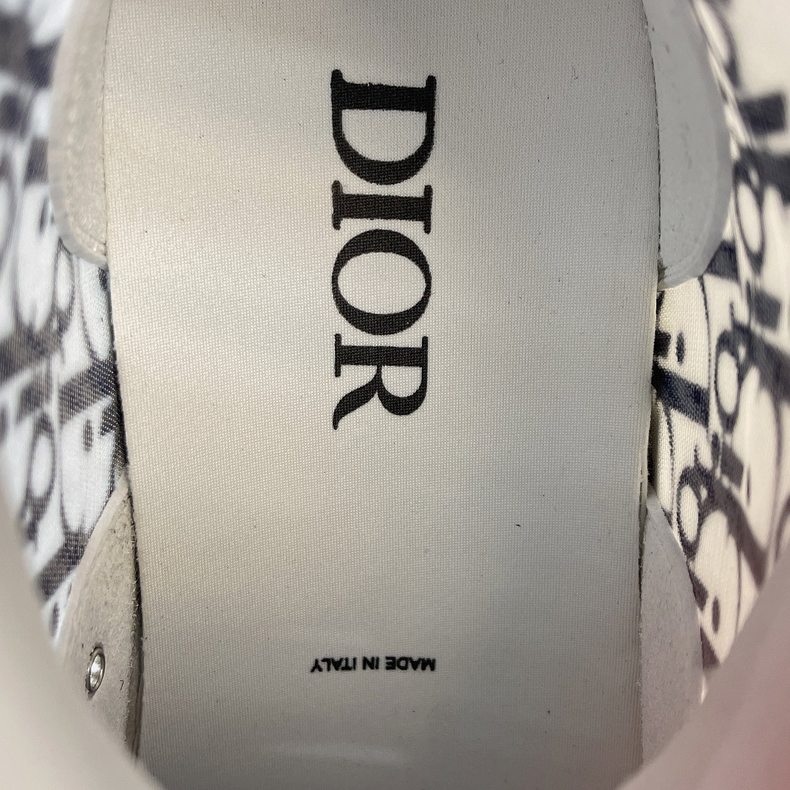 Dior B23 High Top Sneaker 26