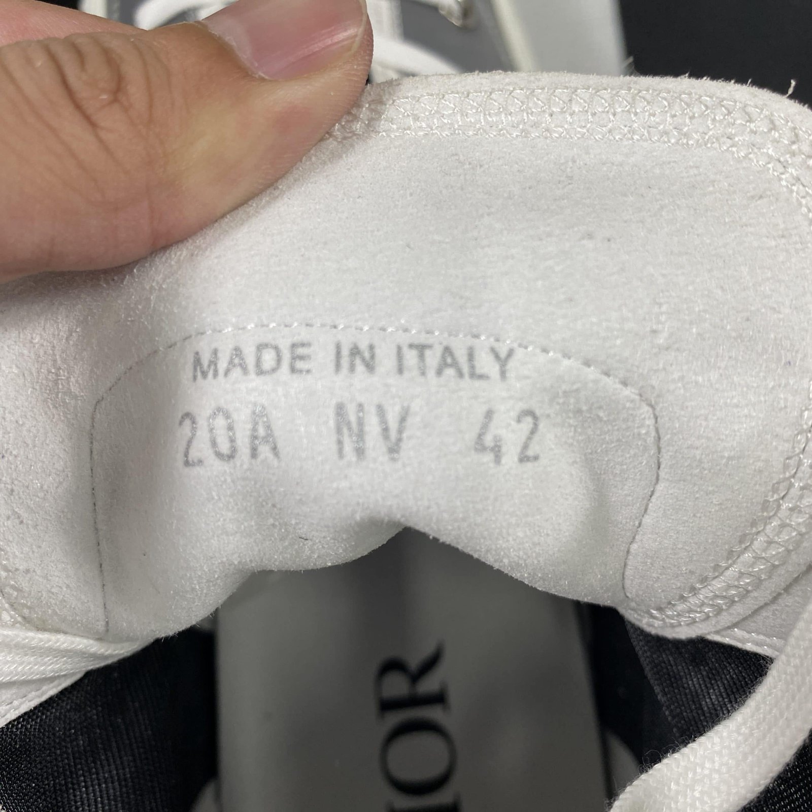 Dior B23 High Top Sneaker 16