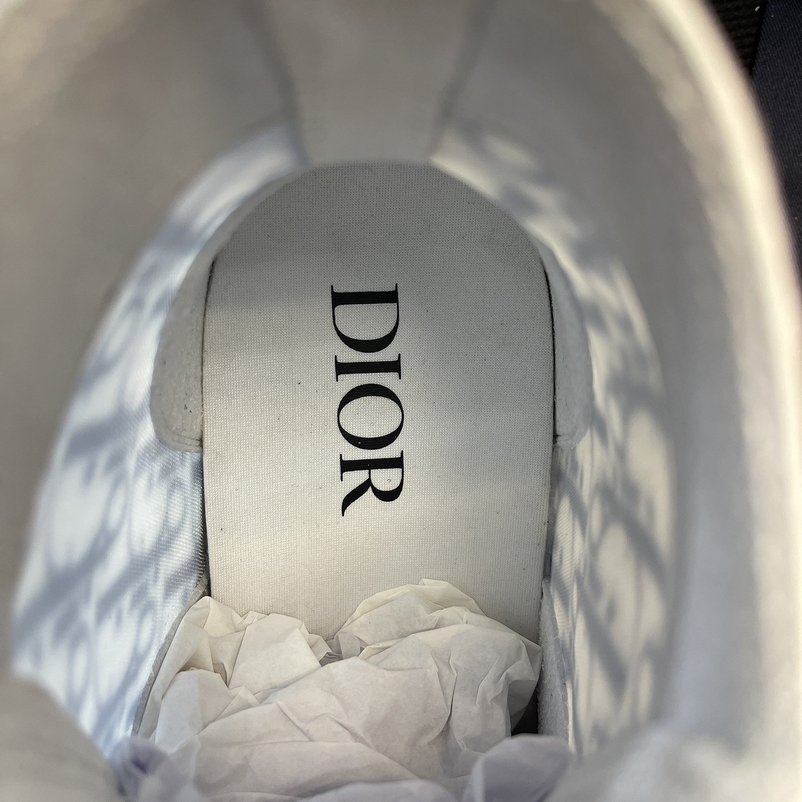 Dior B23 High Top Sneaker 25