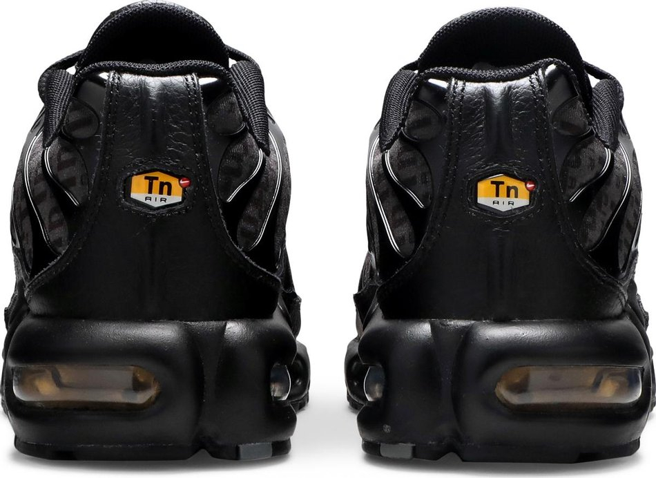 Air Max Plus  Black  DD9609-001