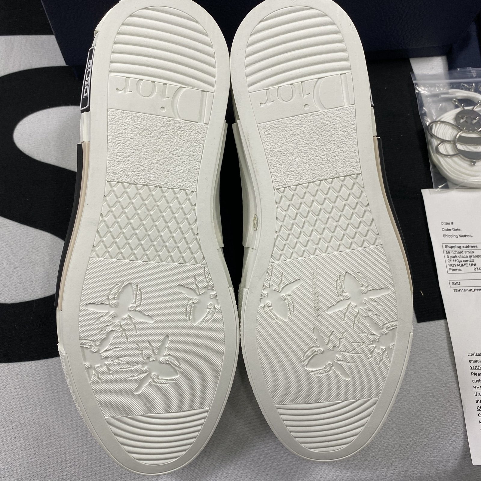 Dior B23 High Top Sneaker 15