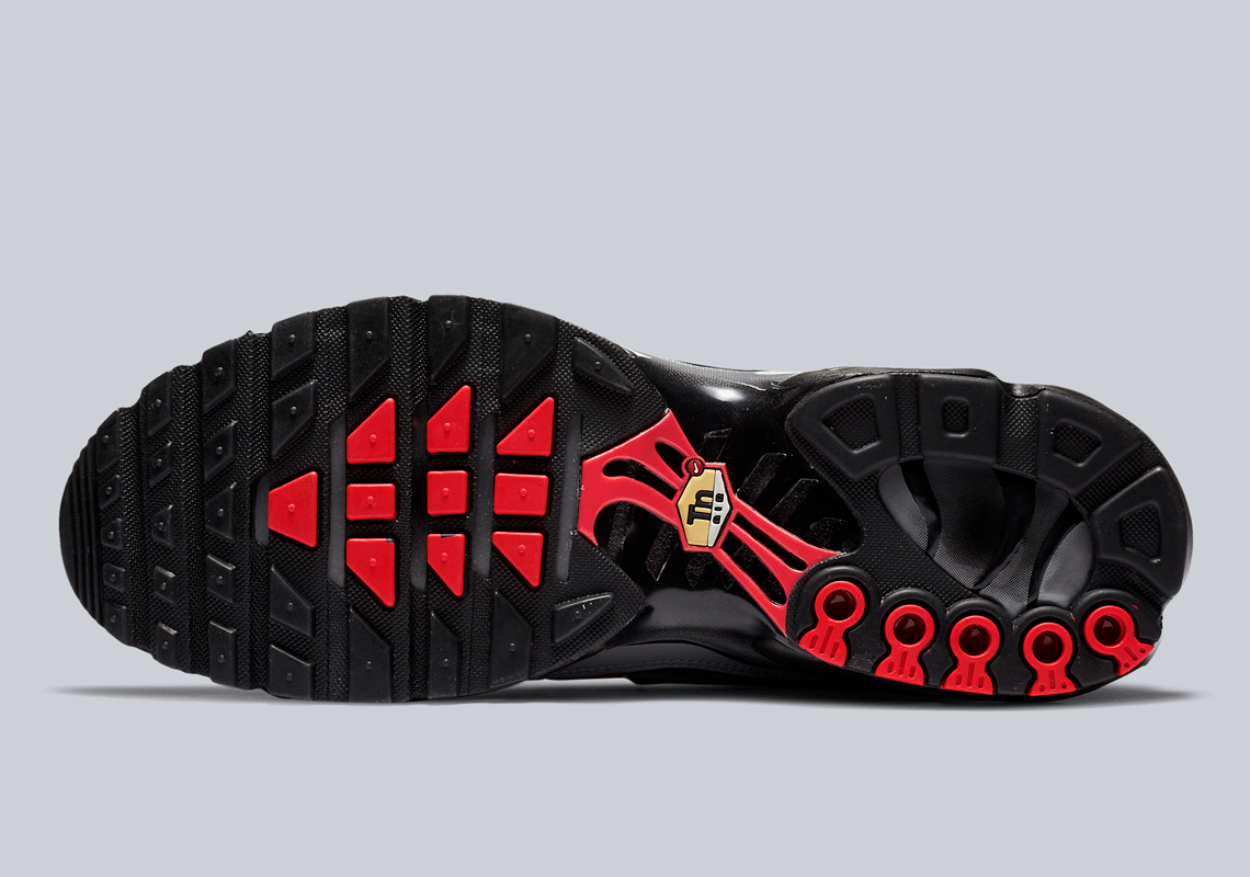 Air Max Plus  Euro Tour  CW7575-100