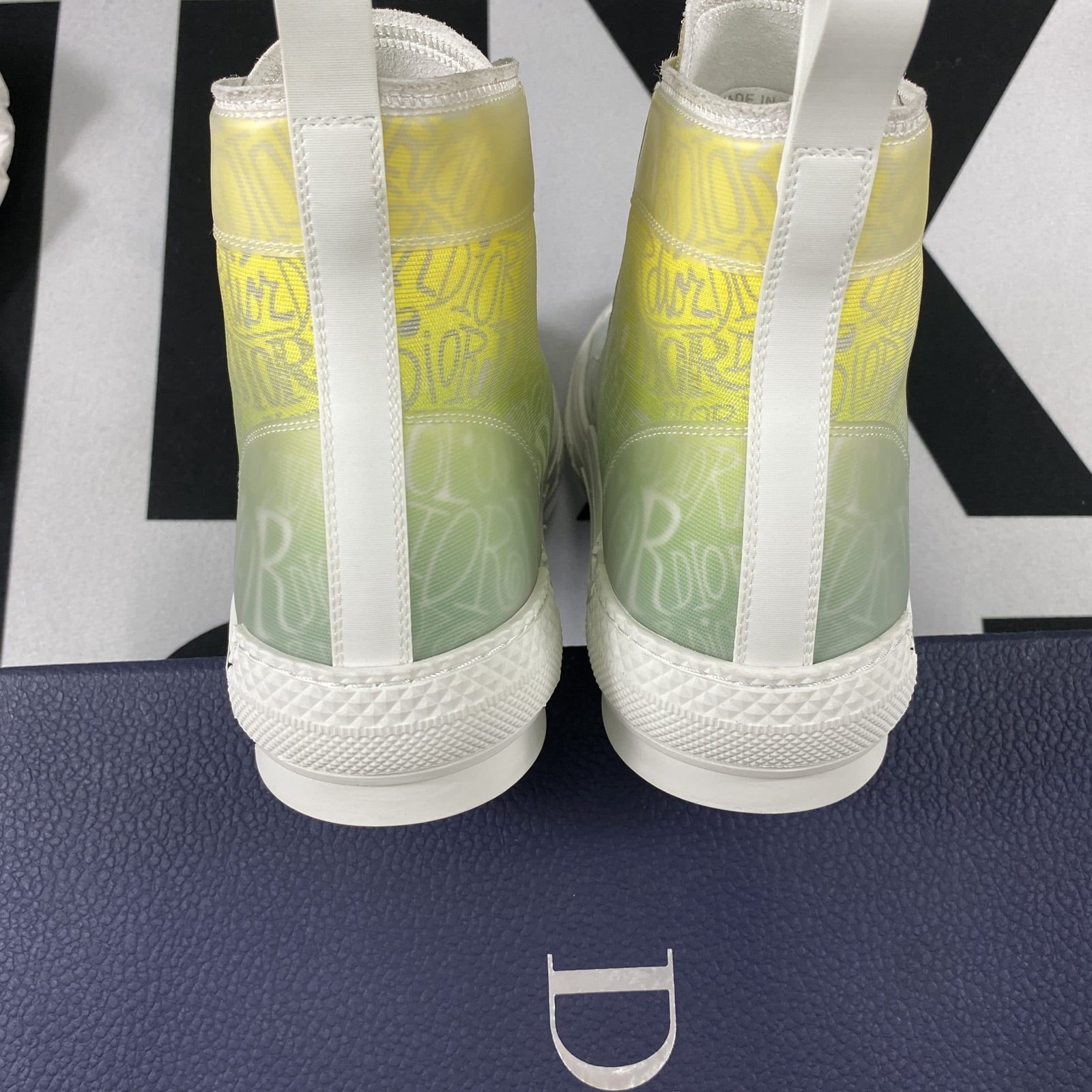 Dior B23 High Top Sneaker 15