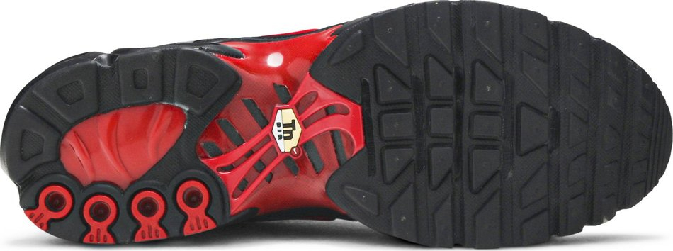 Air Max Plus  Bred  CU4864-001