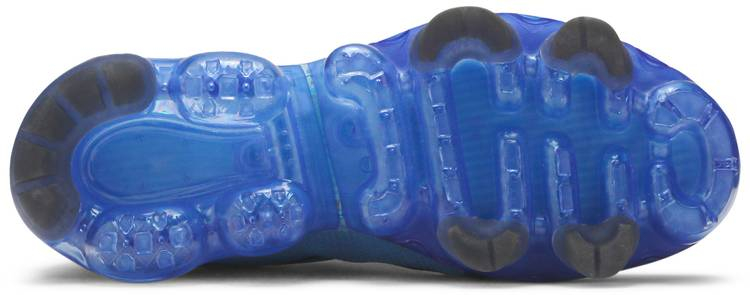 Air VaporMax 2019  Indigo Force  AR6631-400