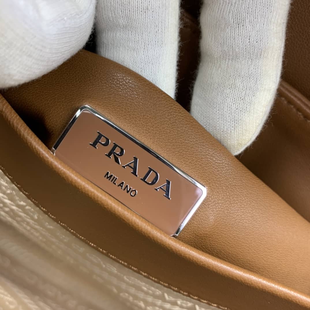Prada Small Nappa Leather Spectrum Bag