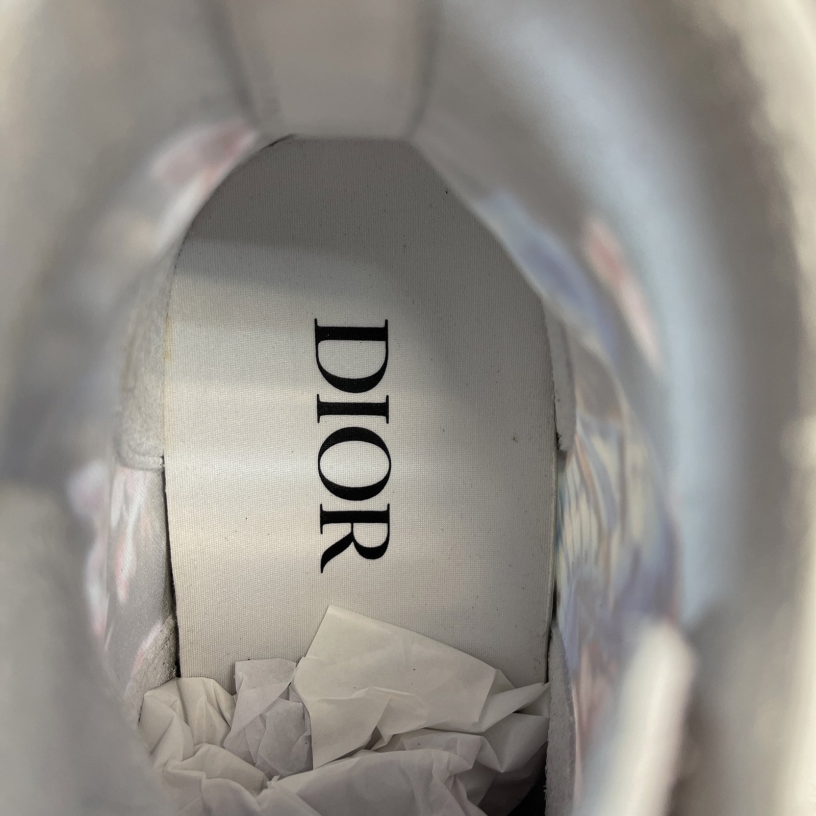 Dior B23 High Top Sneaker 22