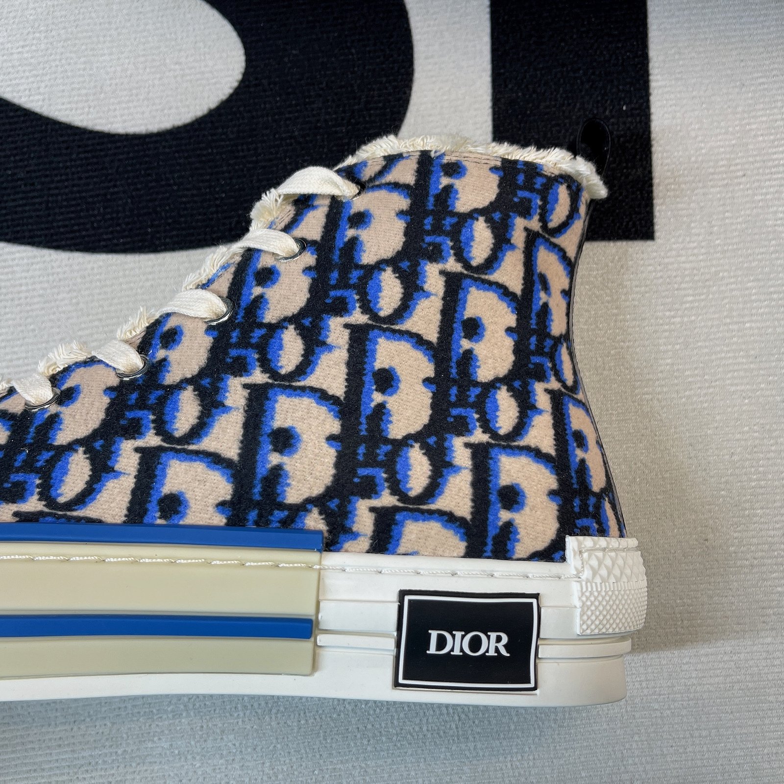 Dior B23 High Top Sneaker 23