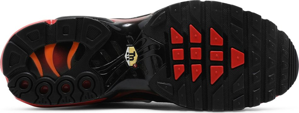 Air Max Plus  Gradient  CZ9270-001