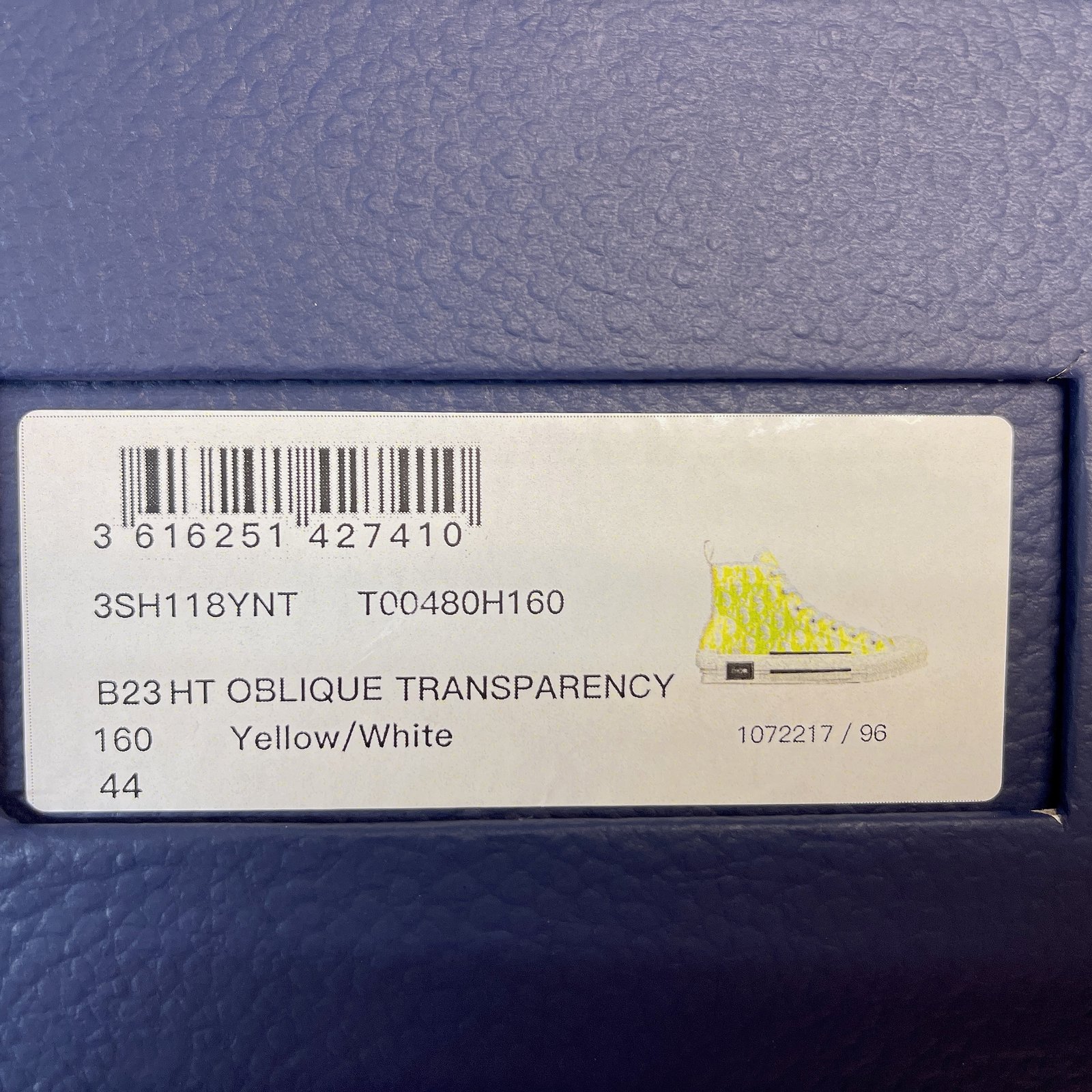 Dior B23 High Top Sneaker 21