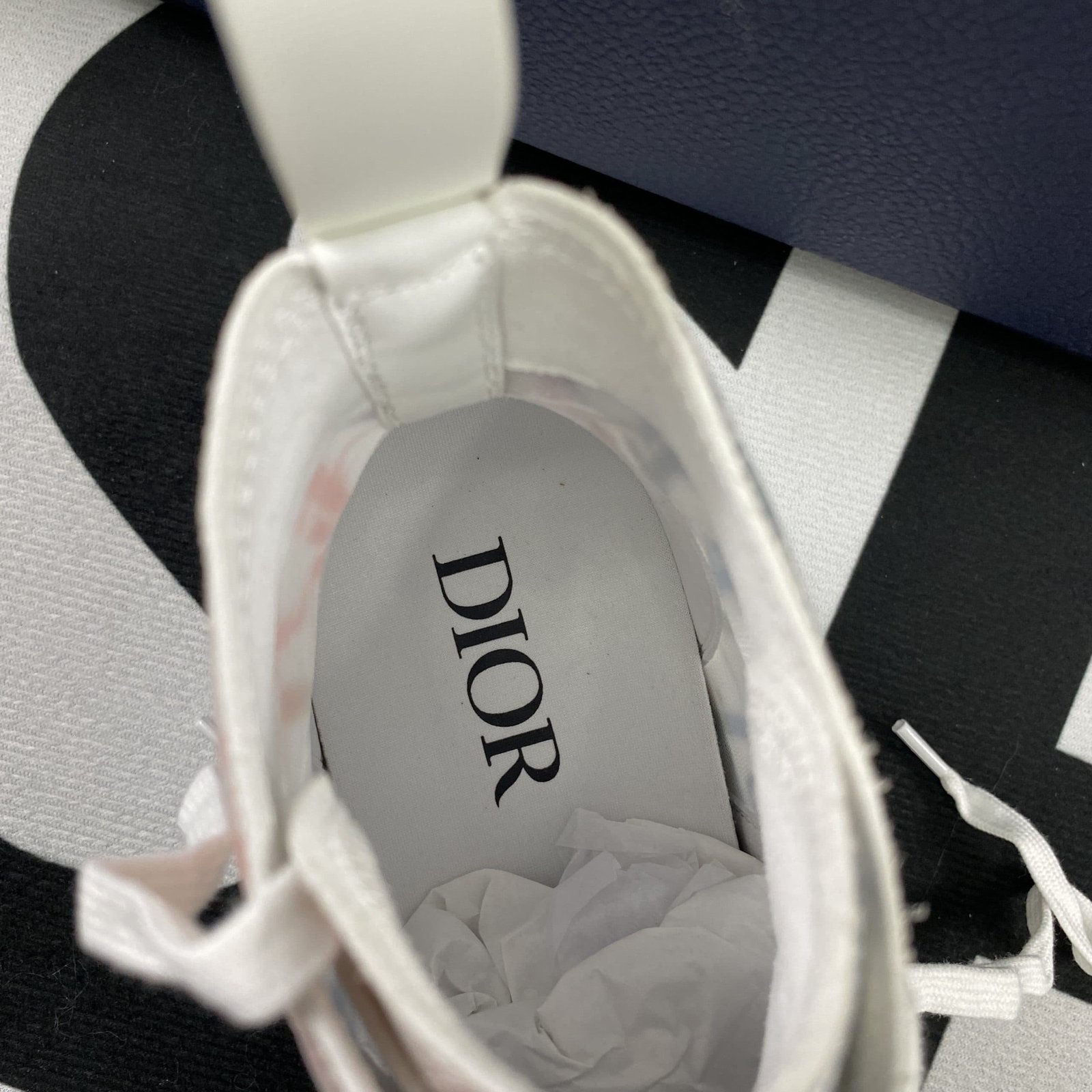 Dior B23 High Top Sneaker 14