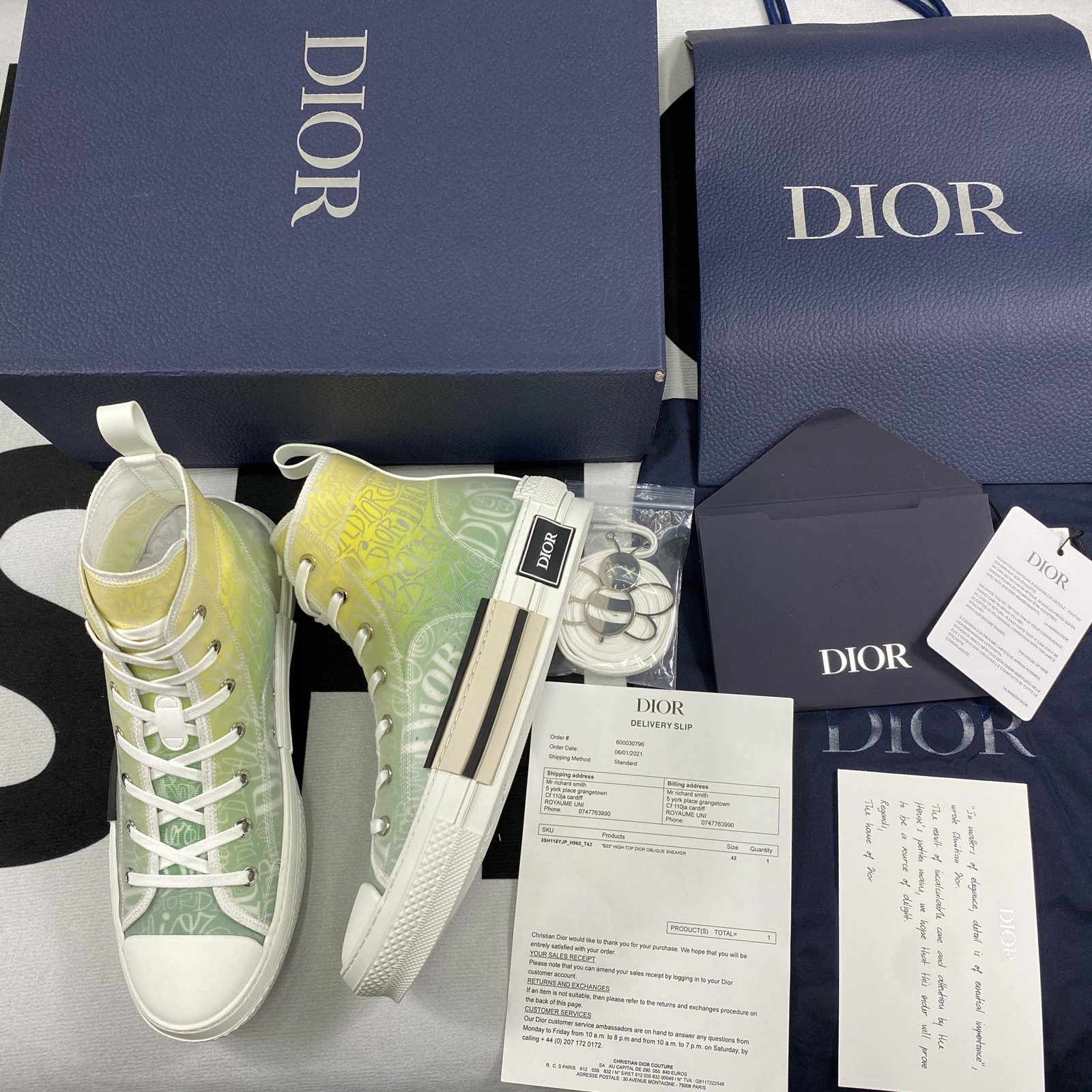 Dior B23 High Top Sneaker 15