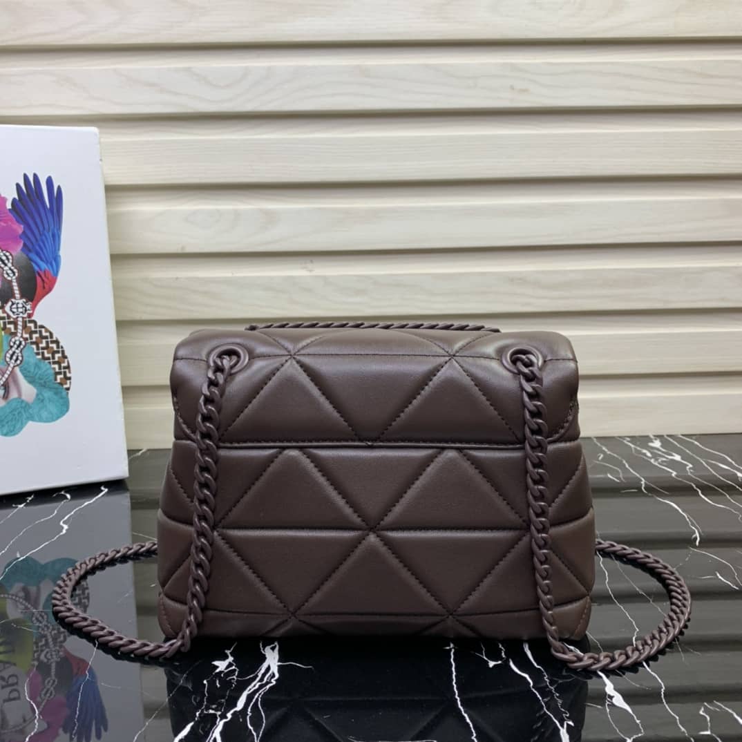 Prada Small Nappa Leather Spectrum Bag