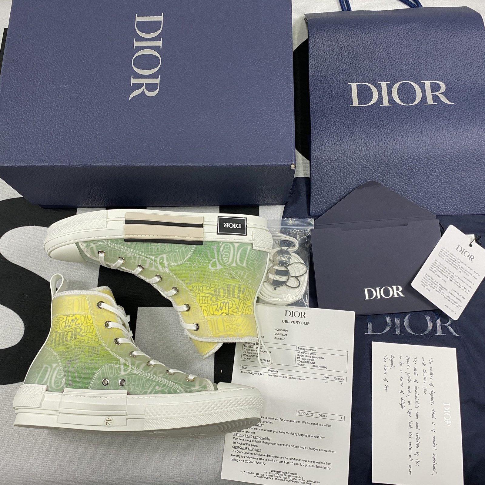 Dior B23 High Top Sneaker 15