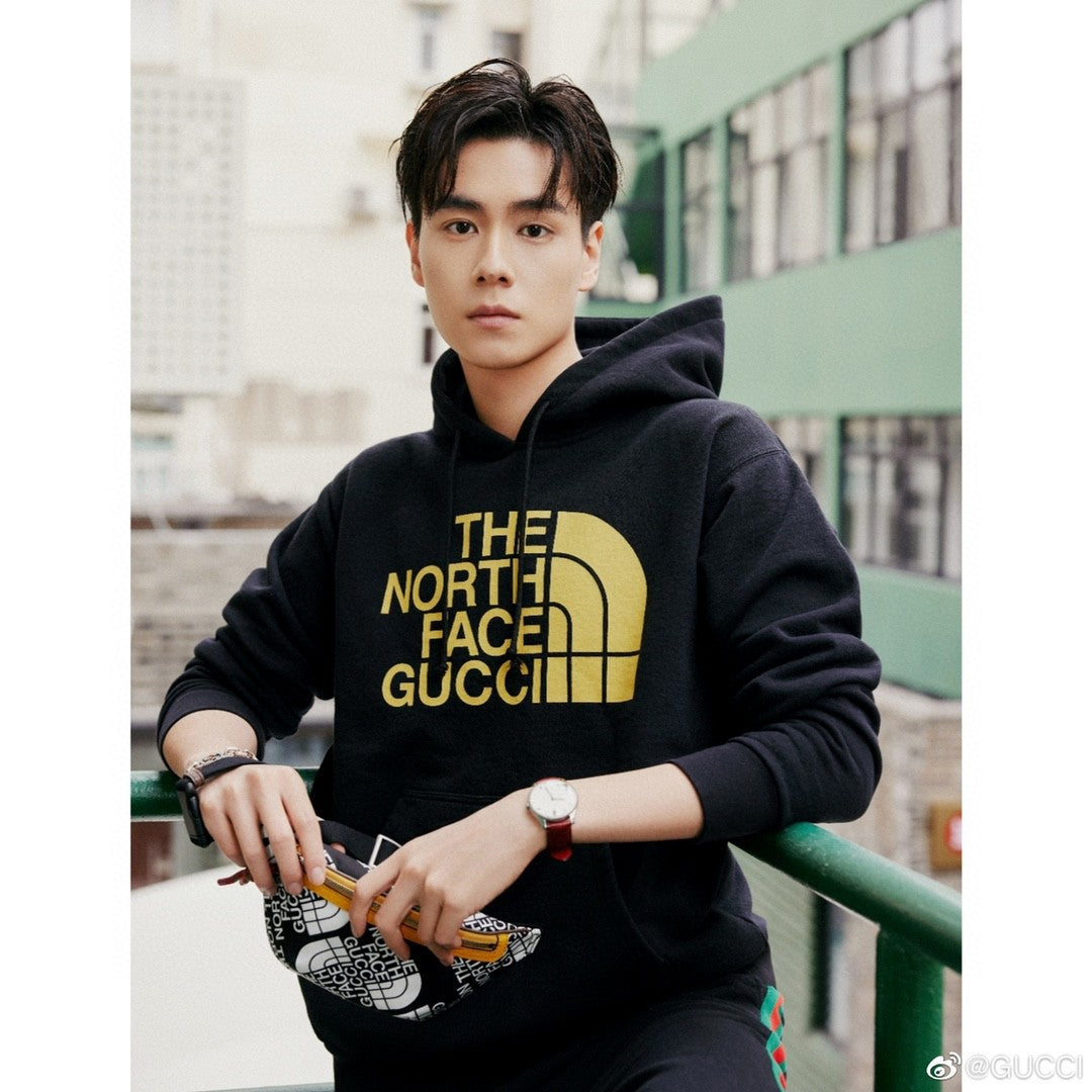 Gucci x The North Face Hoodie