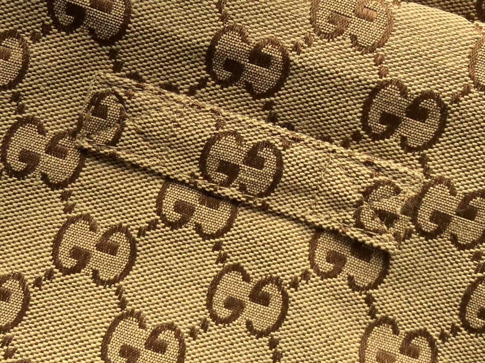 Gucci x The North Face Jacket