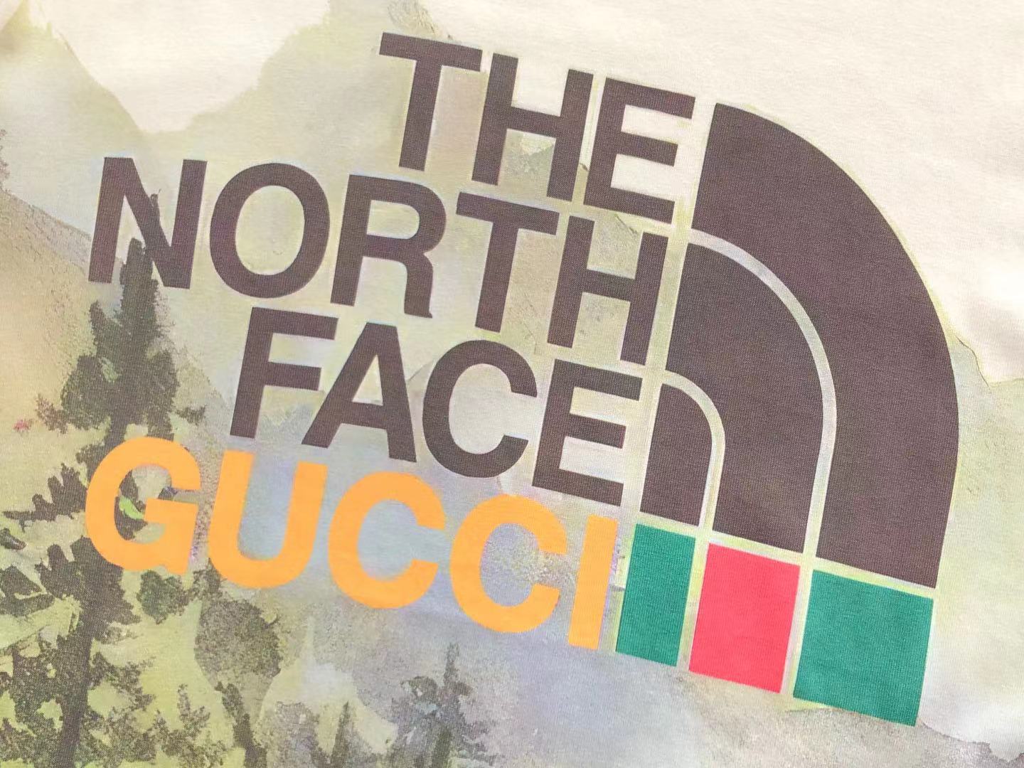 Gucci x The North Face T-shirt