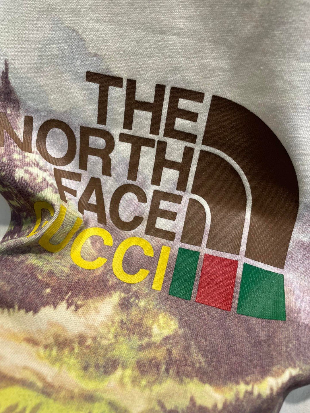 Gucci x The North Face T-shirt