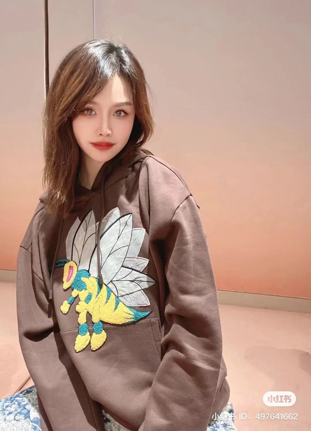 Louis Vuitton Hoodie