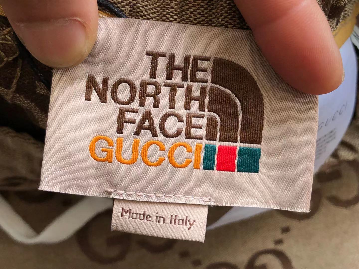 Gucci x The North Face Shorts