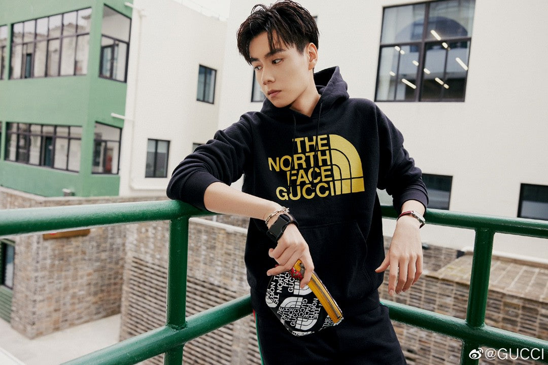 Gucci x The North Face Hoodie