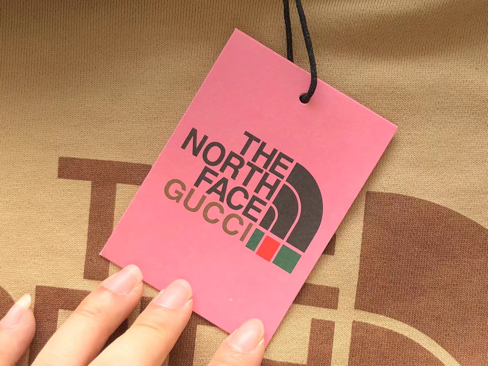 Gucci x The North Face Hoodie