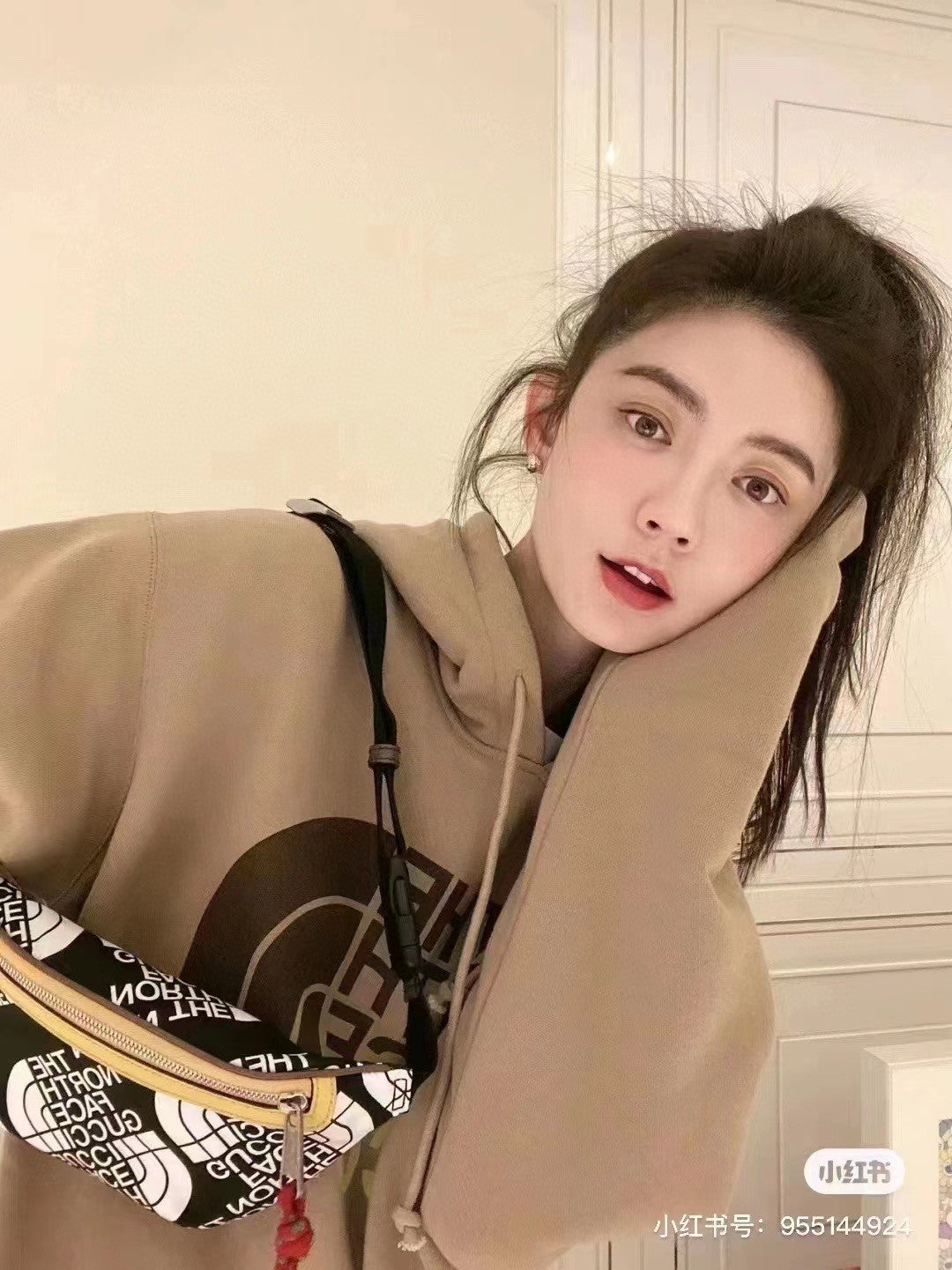 Gucci x The North Face Hoodie