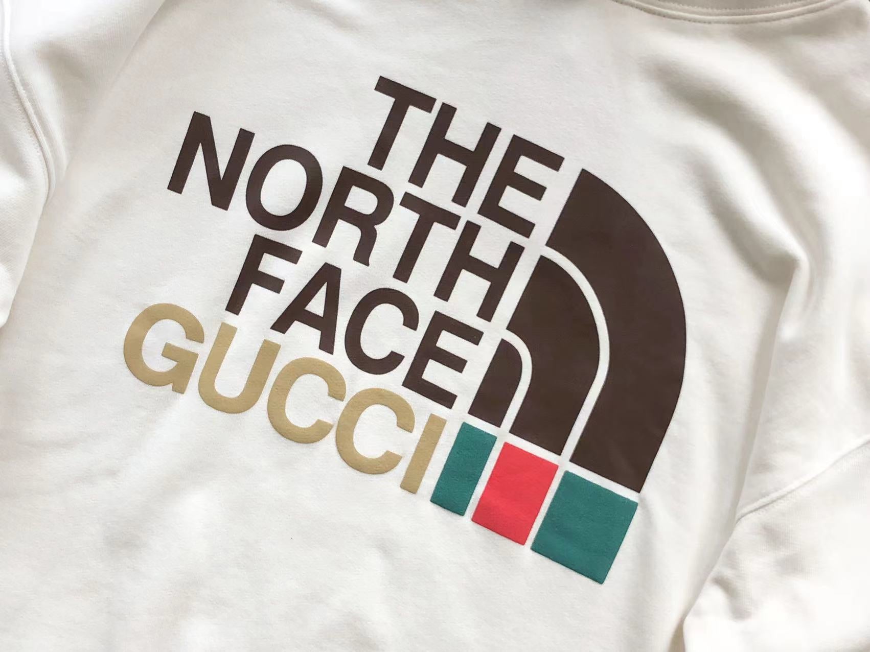 Gucci x The North Face Hoodie