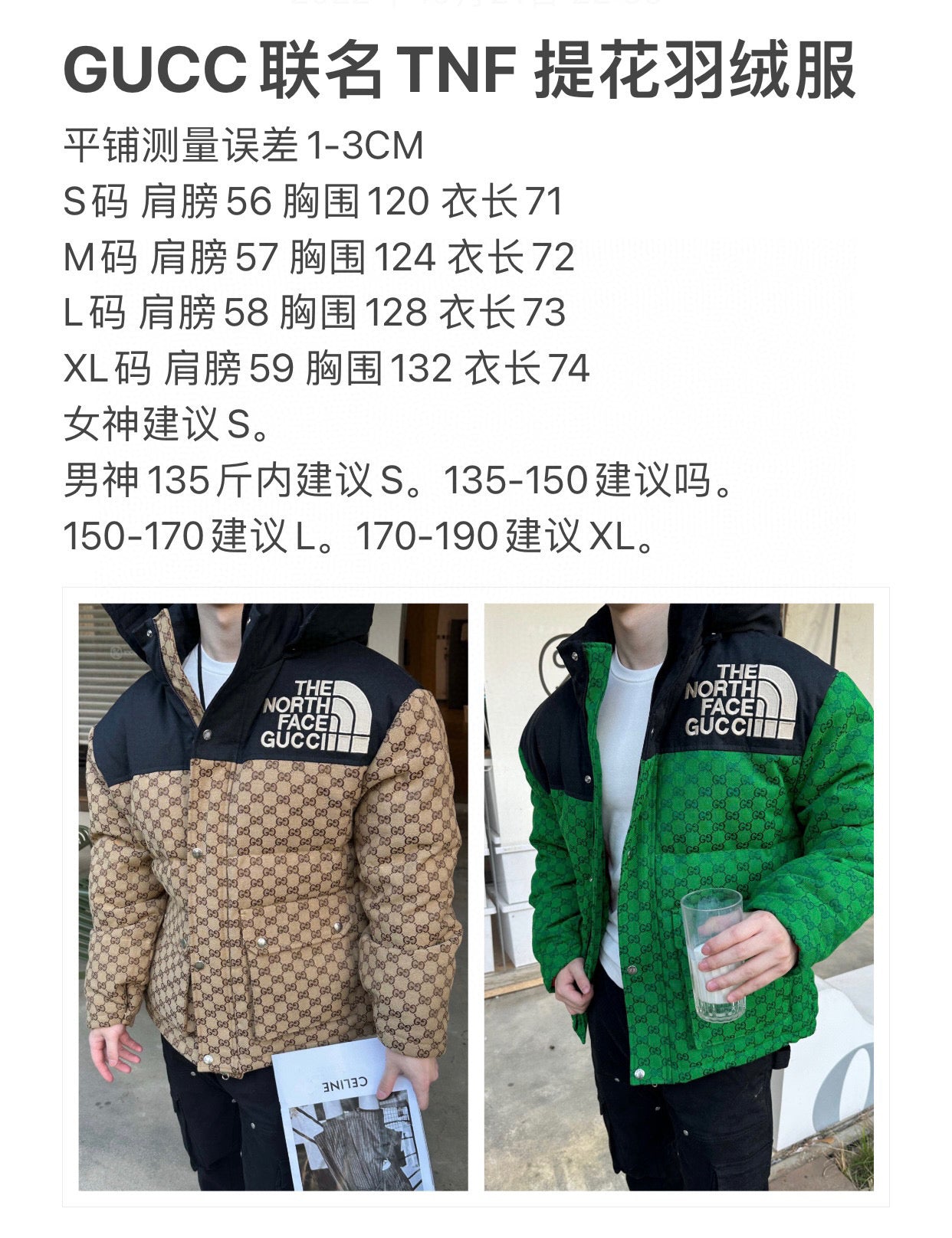 Gucci x The North Face Jacket