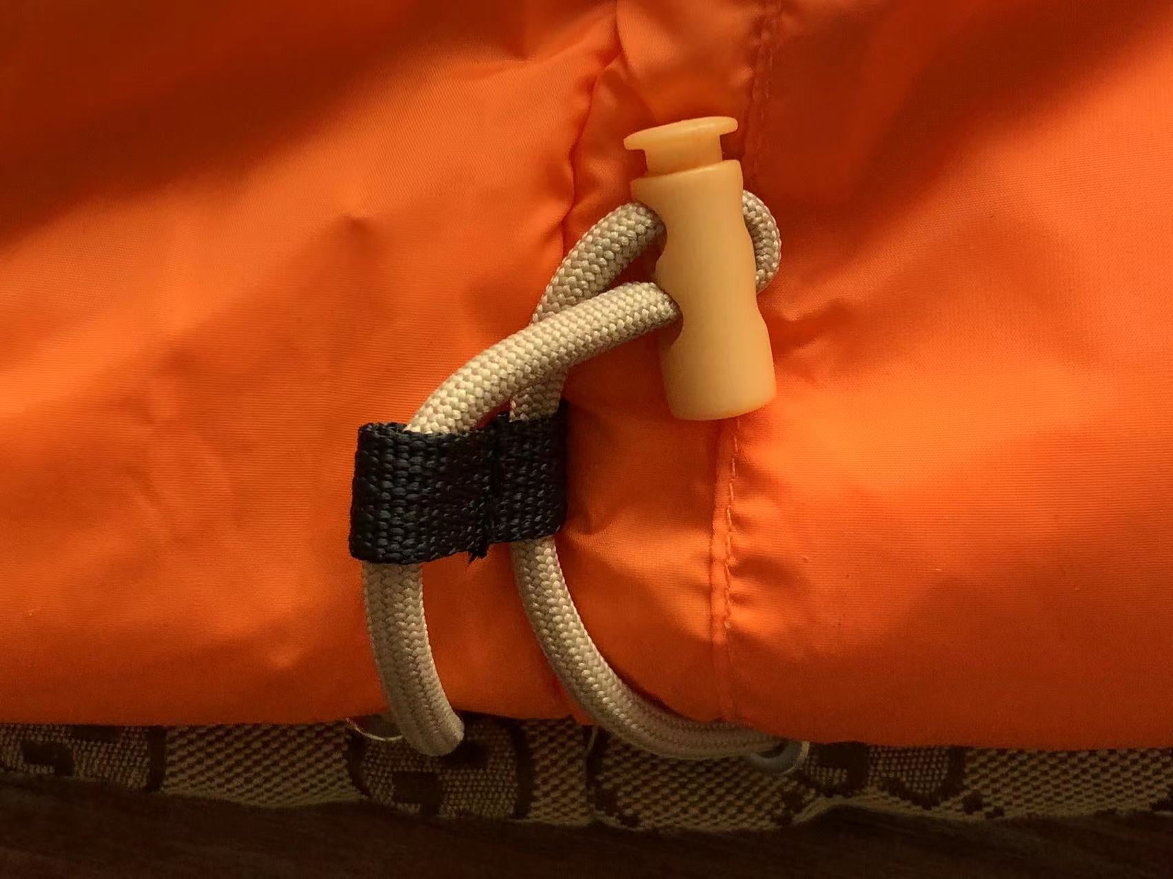 Gucci x The North Face Jacket