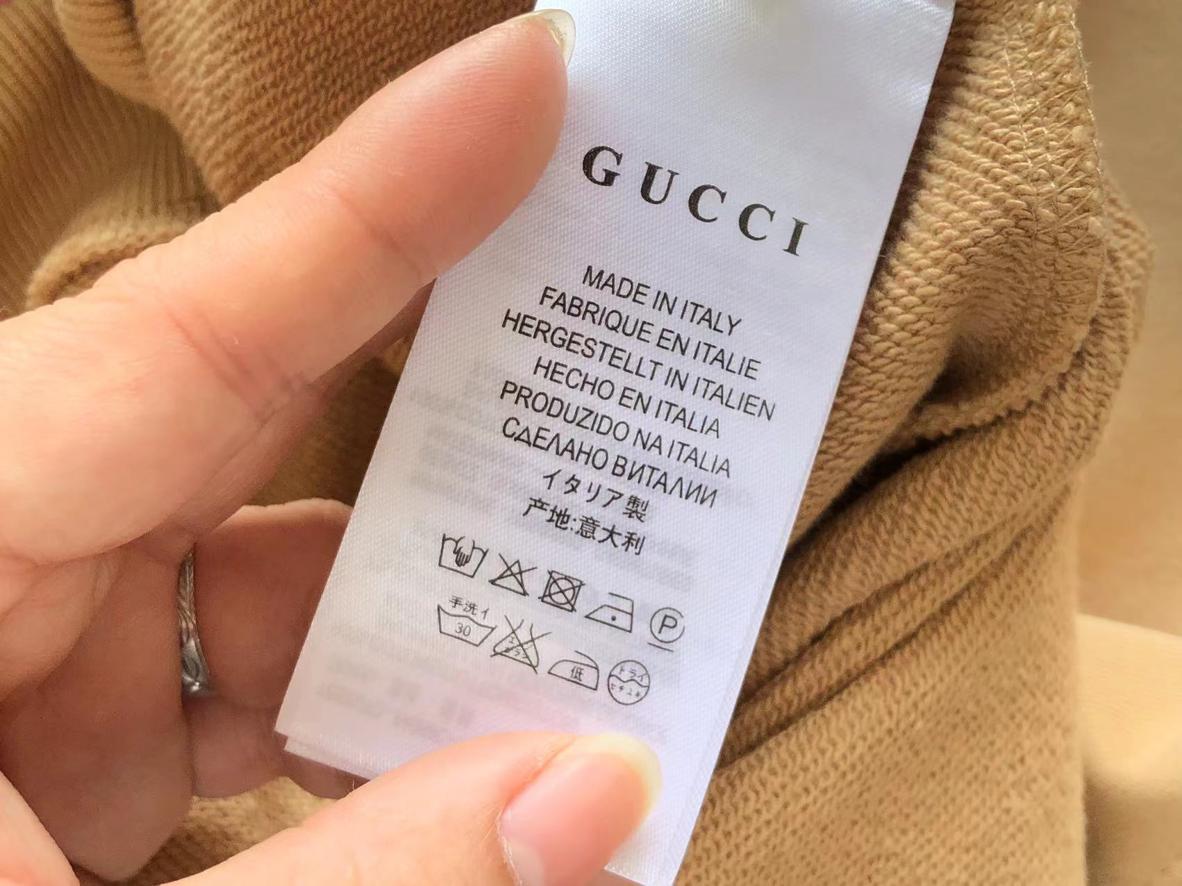 Gucci x The North Face Hoodie